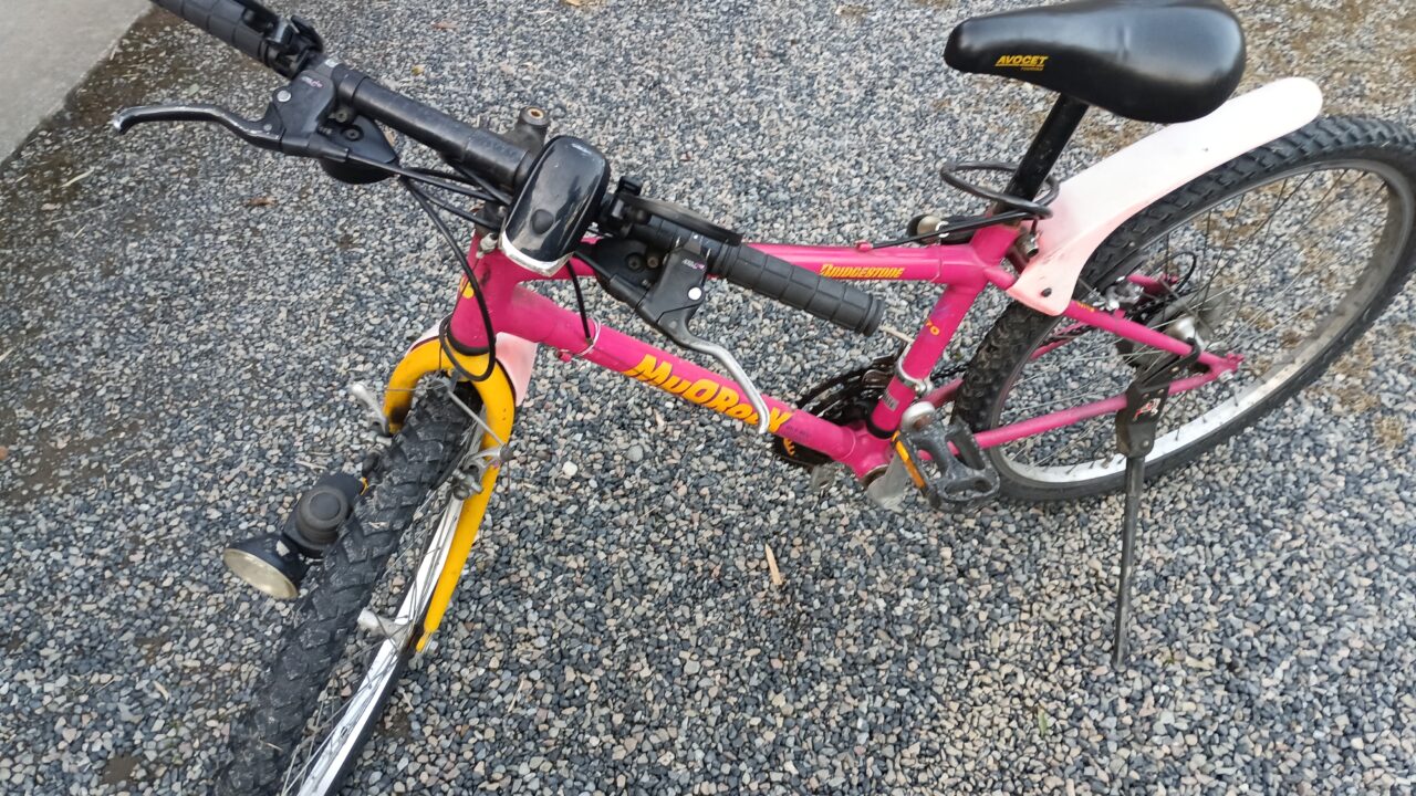 自宅の庭で撮影した自転車