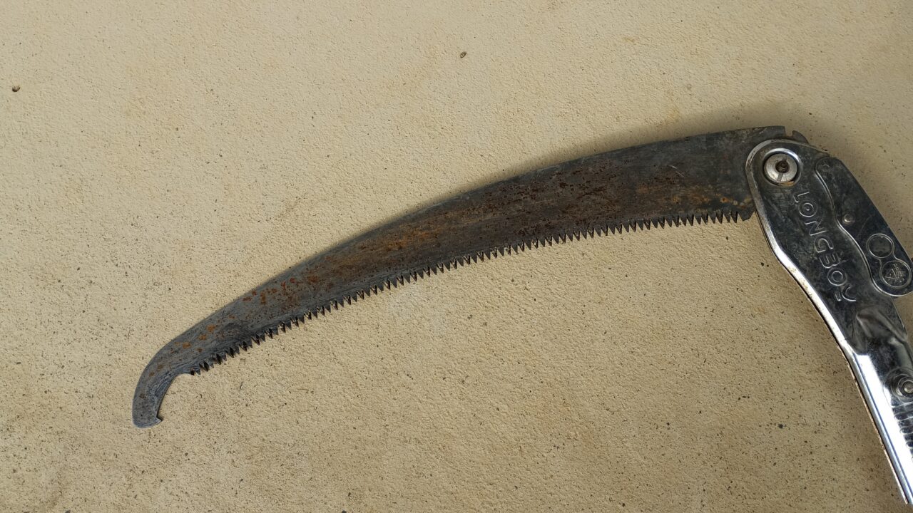 シルキーの刃の接写（少し錆びている）