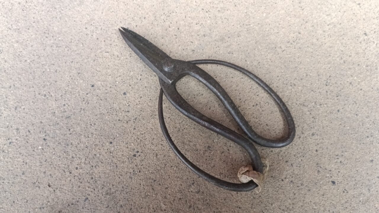 玄関に置いた植木鋏