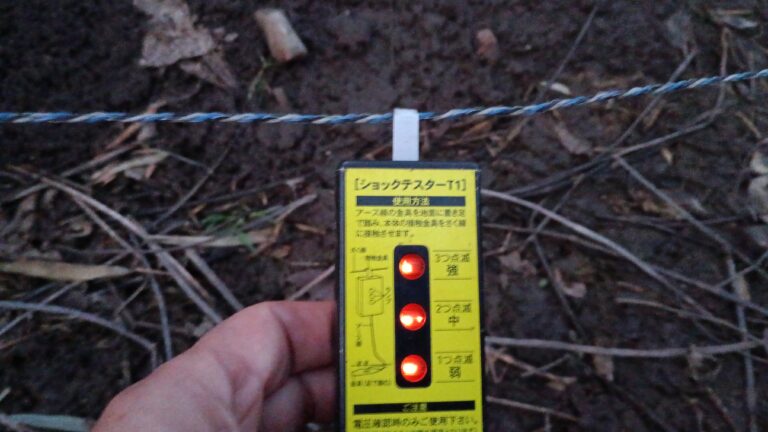 通電ランプが3つ点灯しているところ