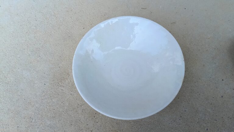 陶器製の白い器（塩湯を入れる器）