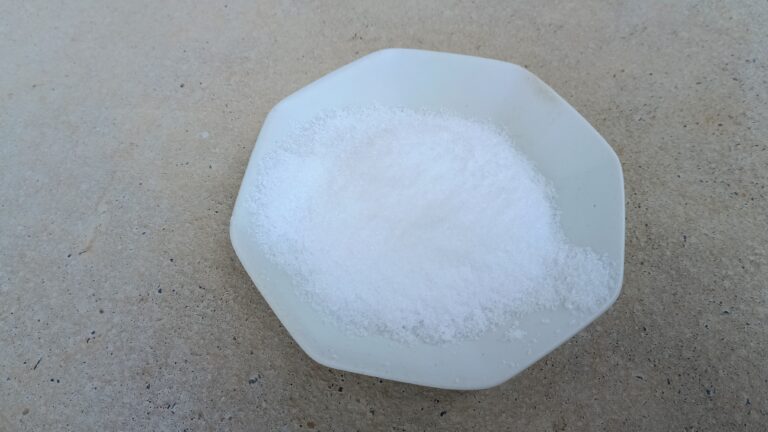 八角形の皿の上の盛り塩