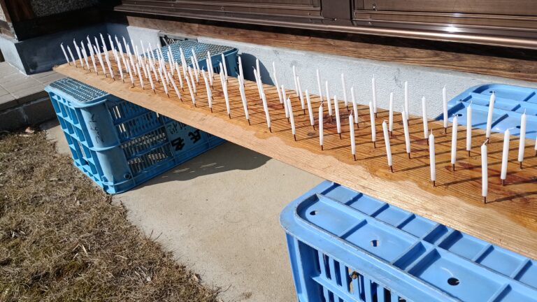 点火前の108本のロウソク(万灯の板)