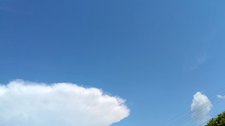 東の空に少し雲があるが空は青い