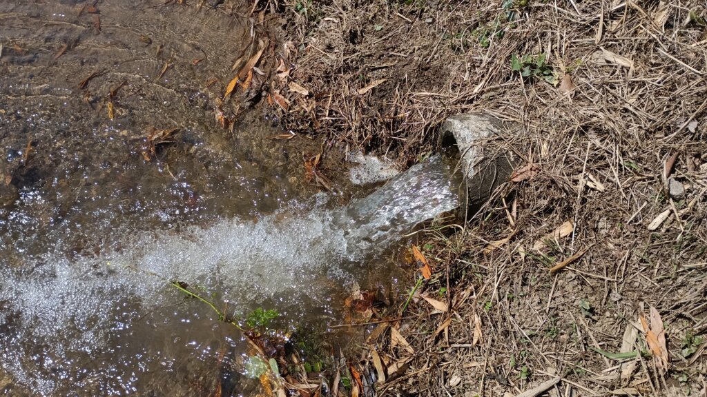 水口から田んぼに水が流れ込んでいるところ