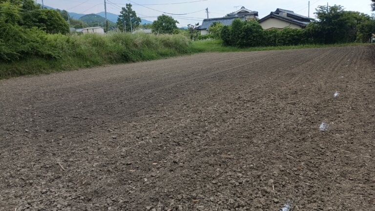 播種を終えた圃場の全景