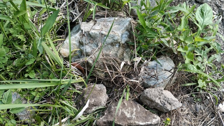 圃場脇に積まれた石の山