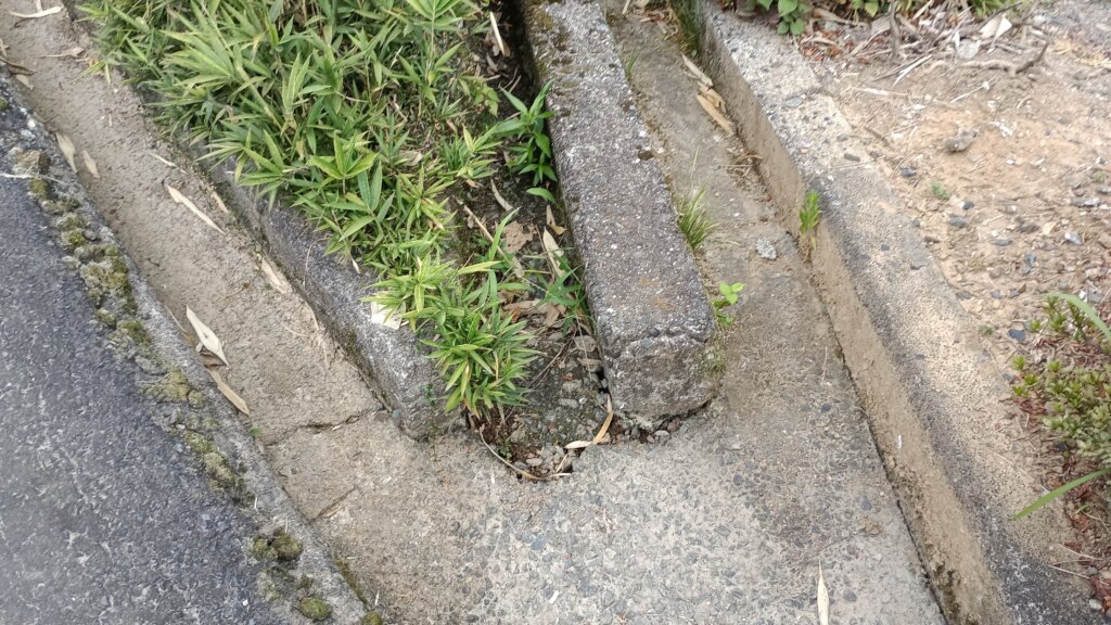 上流から水が全く来ていない用水路