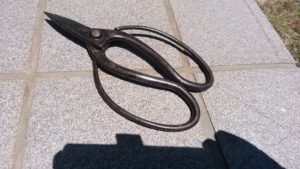僕が所有する植木鋏２本の内の１本