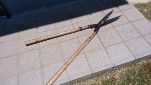 僕が所有する刈込み鋏２本の内の１本