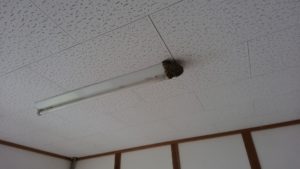 蛍光灯の端に作られたツバメの巣