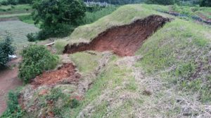 崩落した法面の圃場に施した畦塗りシート