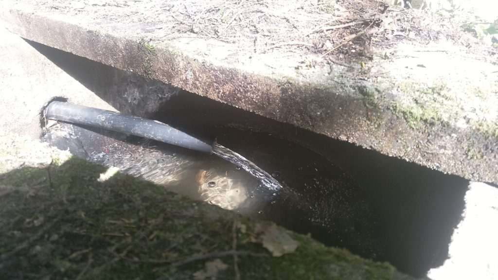 コンクリート製の枡と２層管から流れ込む水