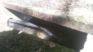 コンクリート製の枡と2層管から流れ込む水