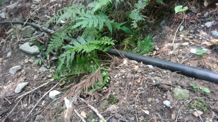 地面を這わせたポリエチレン２層管