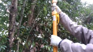 ロングボーイを使った作業風景