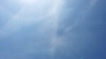 圃場の真上の薄雲が張った空