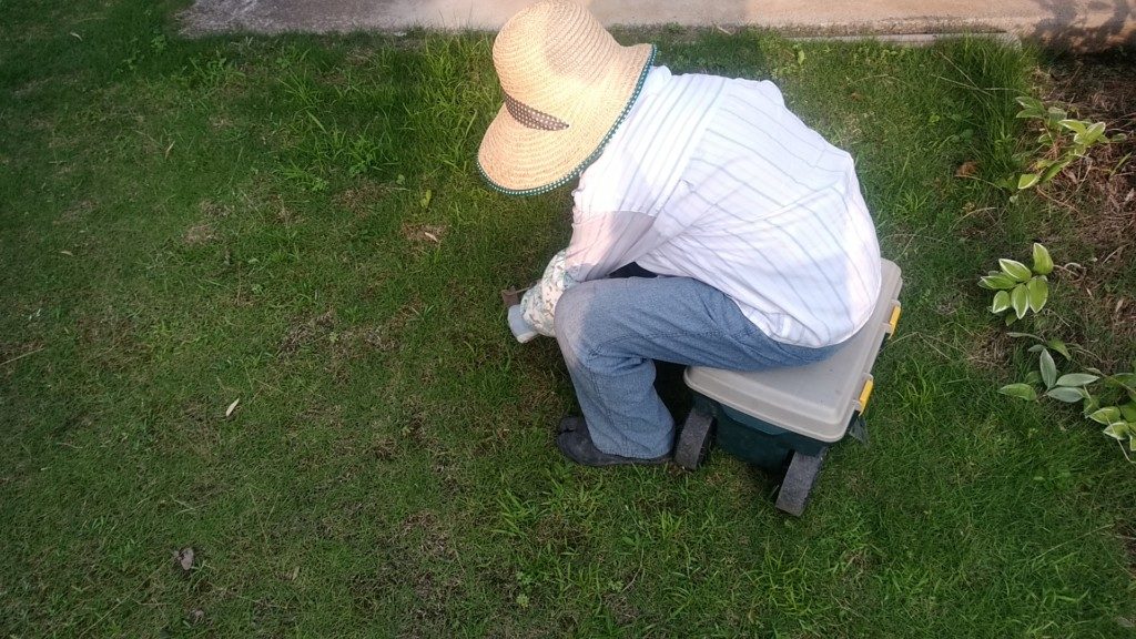 フィールドカートに腰掛けて芝の中の草取りをする母親
