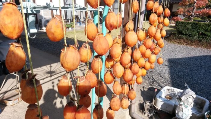 軒下に吊るした無数の干し柿